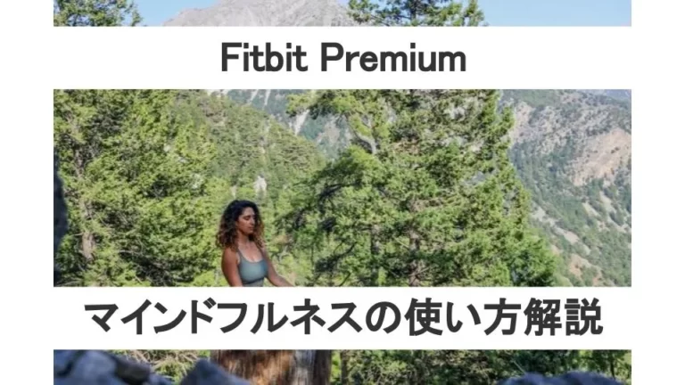 Fitbit Premiumマインドフルネスの使い方解説