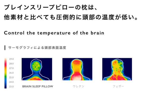 高い？怪しい？睡眠ガチ勢が３万円の枕を本音評価(ブレインスリープピロー)