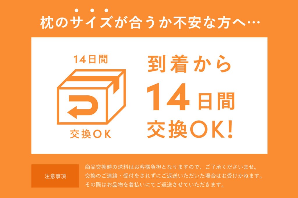 高い?怪しい?睡眠ガチ勢が3万円の枕を本音評価(ブレインスリープピロー)