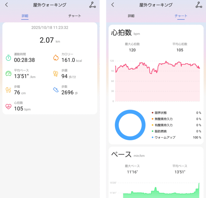実際にウォーキングした結果